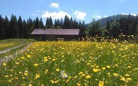 Alpe Leckenholz